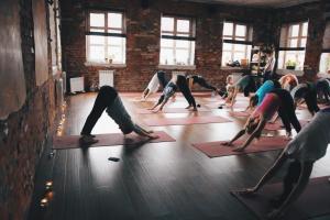 Студия йоги, бизнес-план Как открыть свою студию йоги